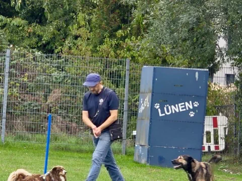 Ein Hundeführer übt mit zwei Hunden vor dem Geräteschrank der Gruppe Lünen