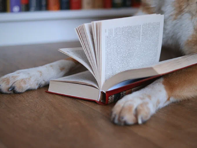 Zwei Hundepfoten liegen auf einem aufgeschlagenen Buch